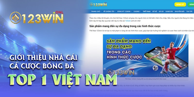 Giới thiệu công ty cá cược bóng đá số 1 Việt Nam